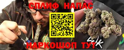гидра Бийск
