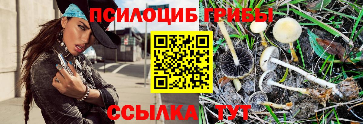Псилоцибиновые грибы ЛСД Киселёвск
