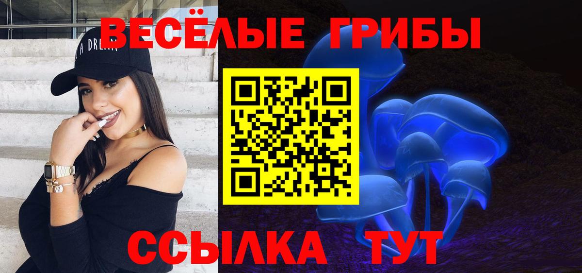 Псилоцибиновые грибы ЛСД  Вход с VPN  Киселёвск 