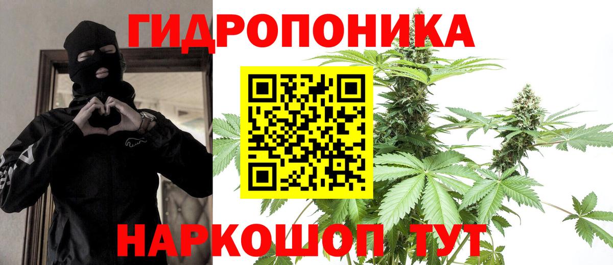 Бошки марихуана VHQ Киселёвск